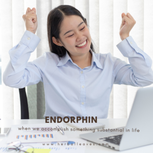 Endorphin, happiness chemical - herbal leaves