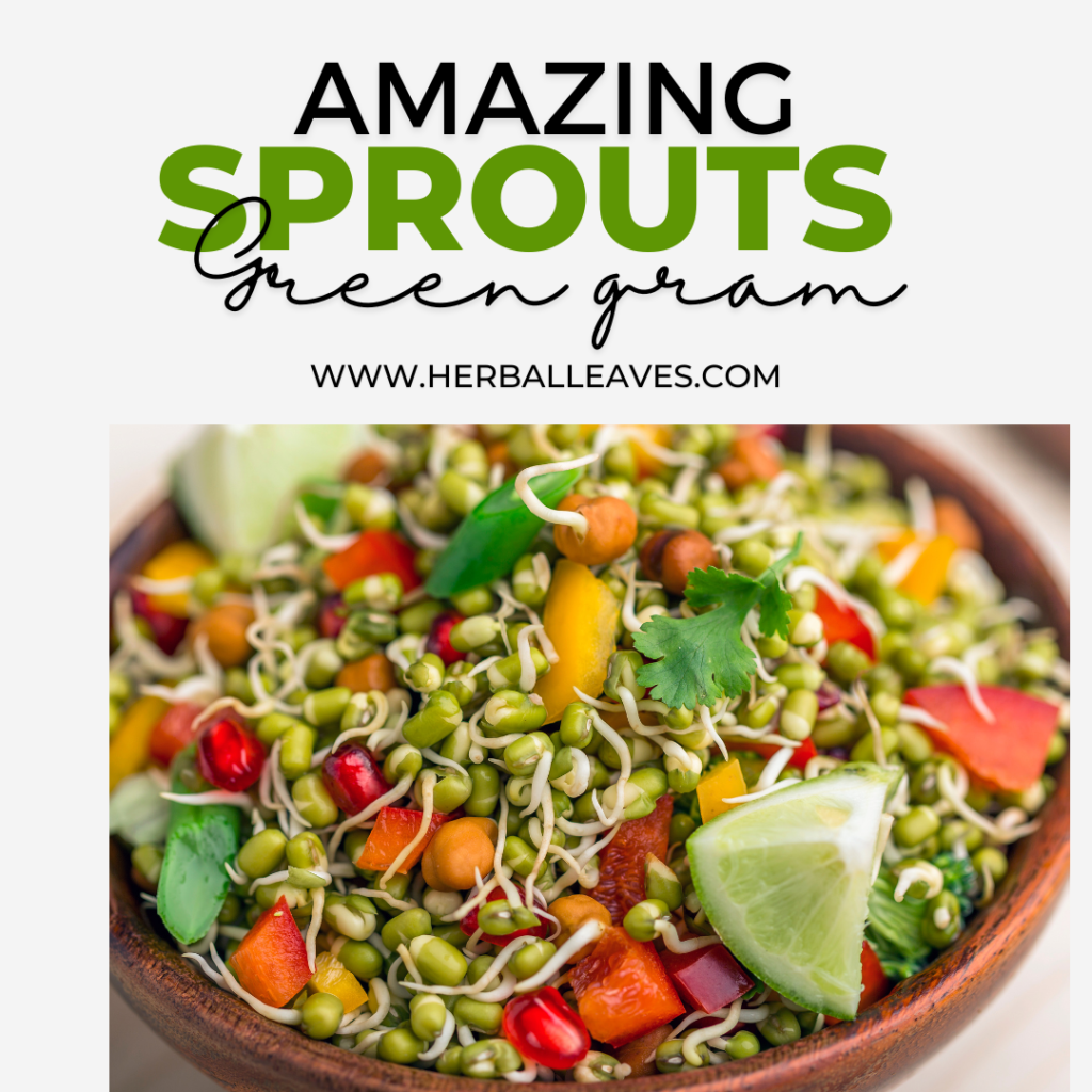 benefits of sprouts | green gram