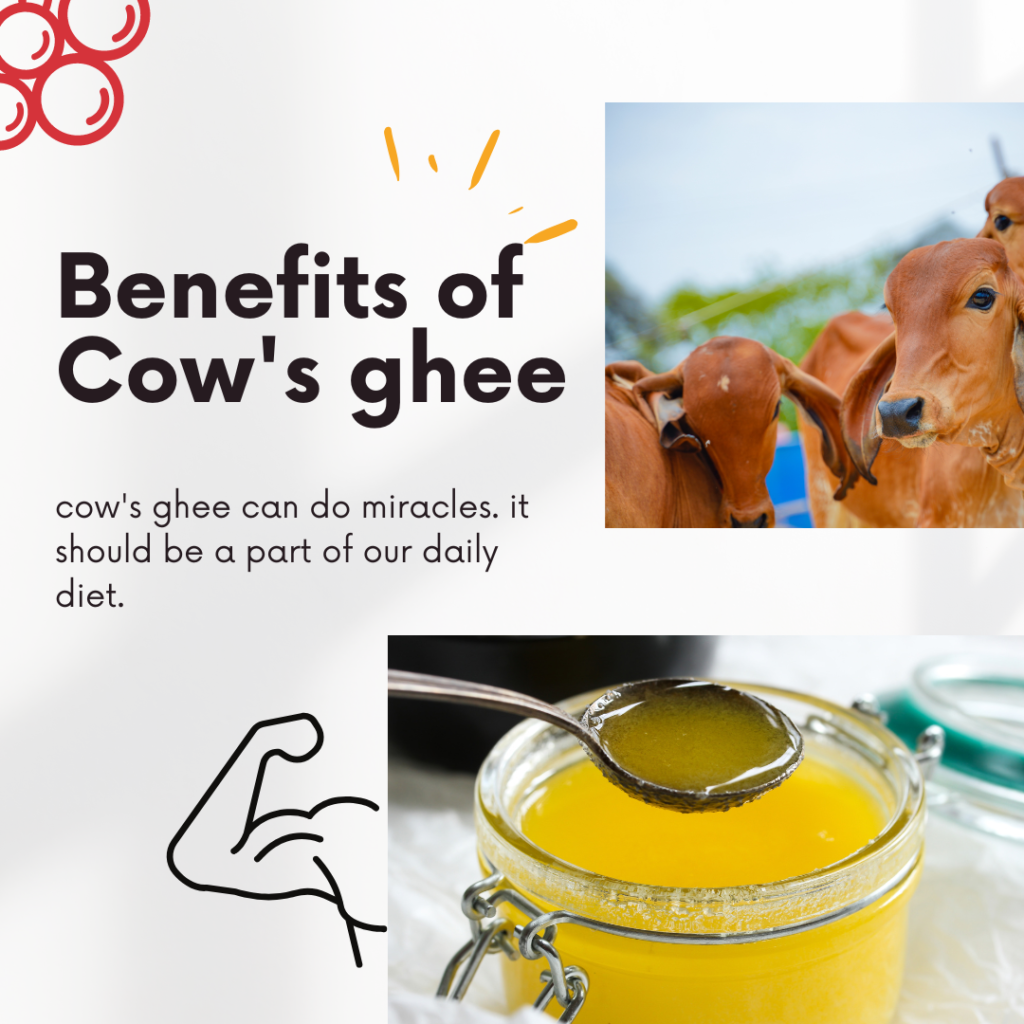 benefit of cow ghee