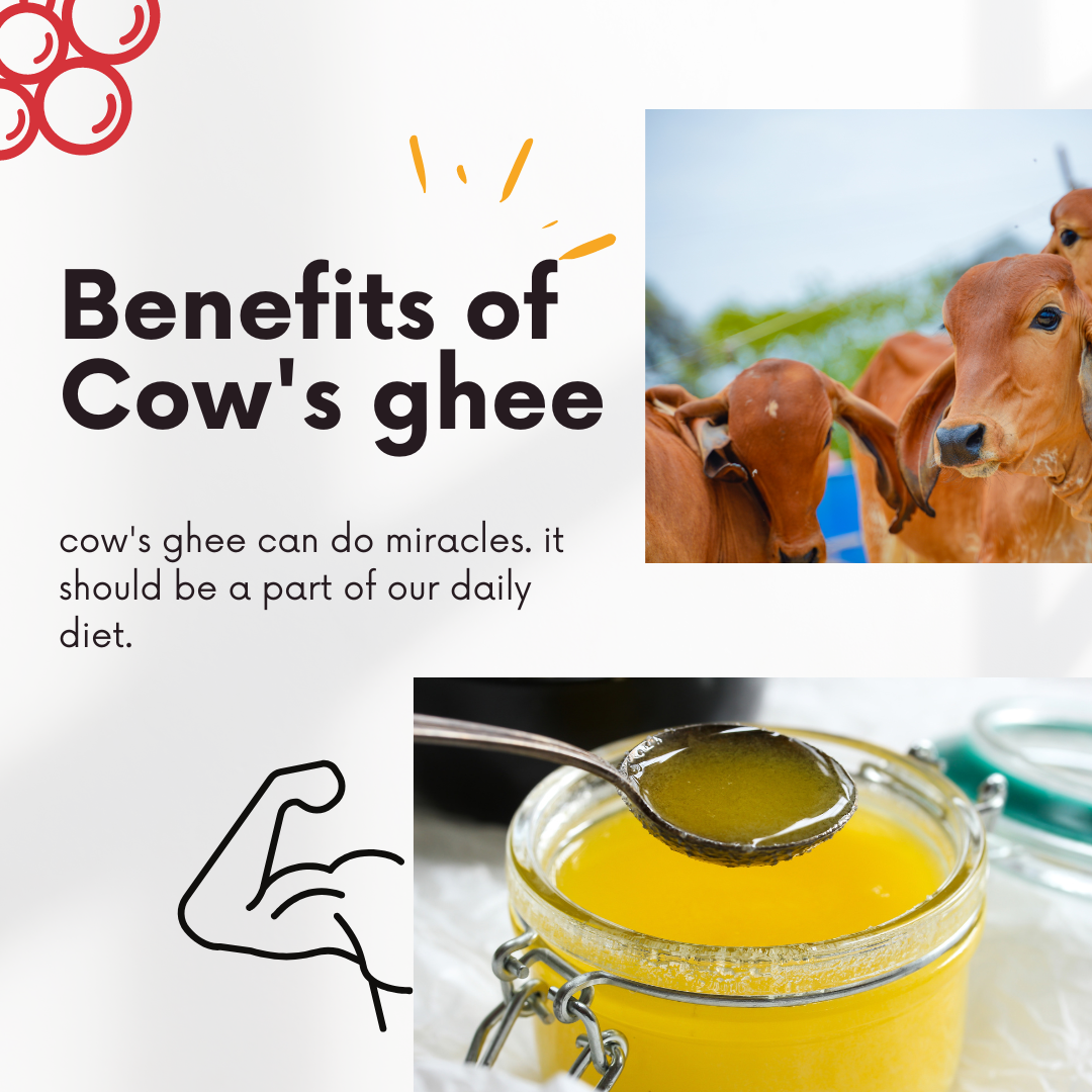 Benefits Of Cow's Ghee - Herbal Leaves