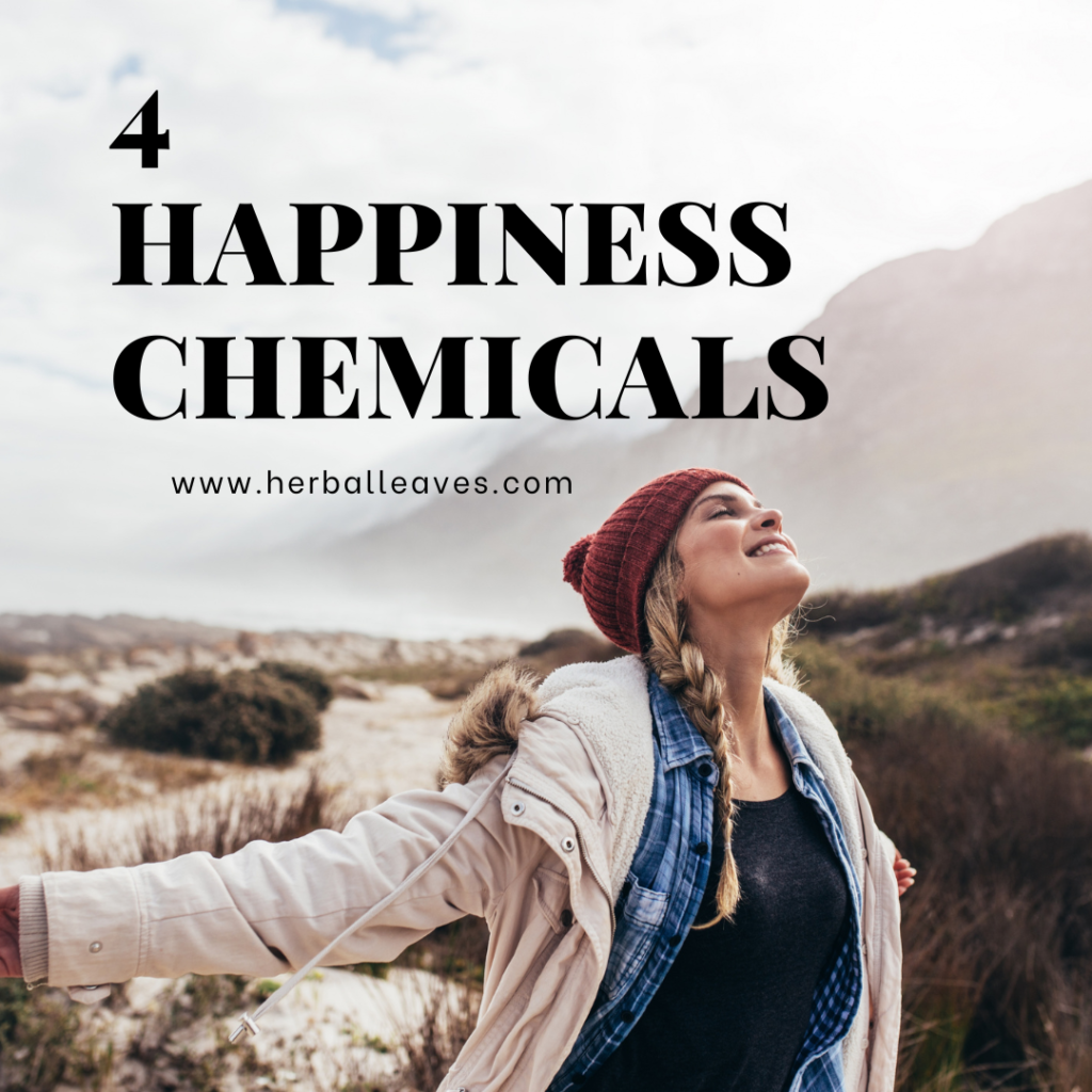 4 happiness chemicals