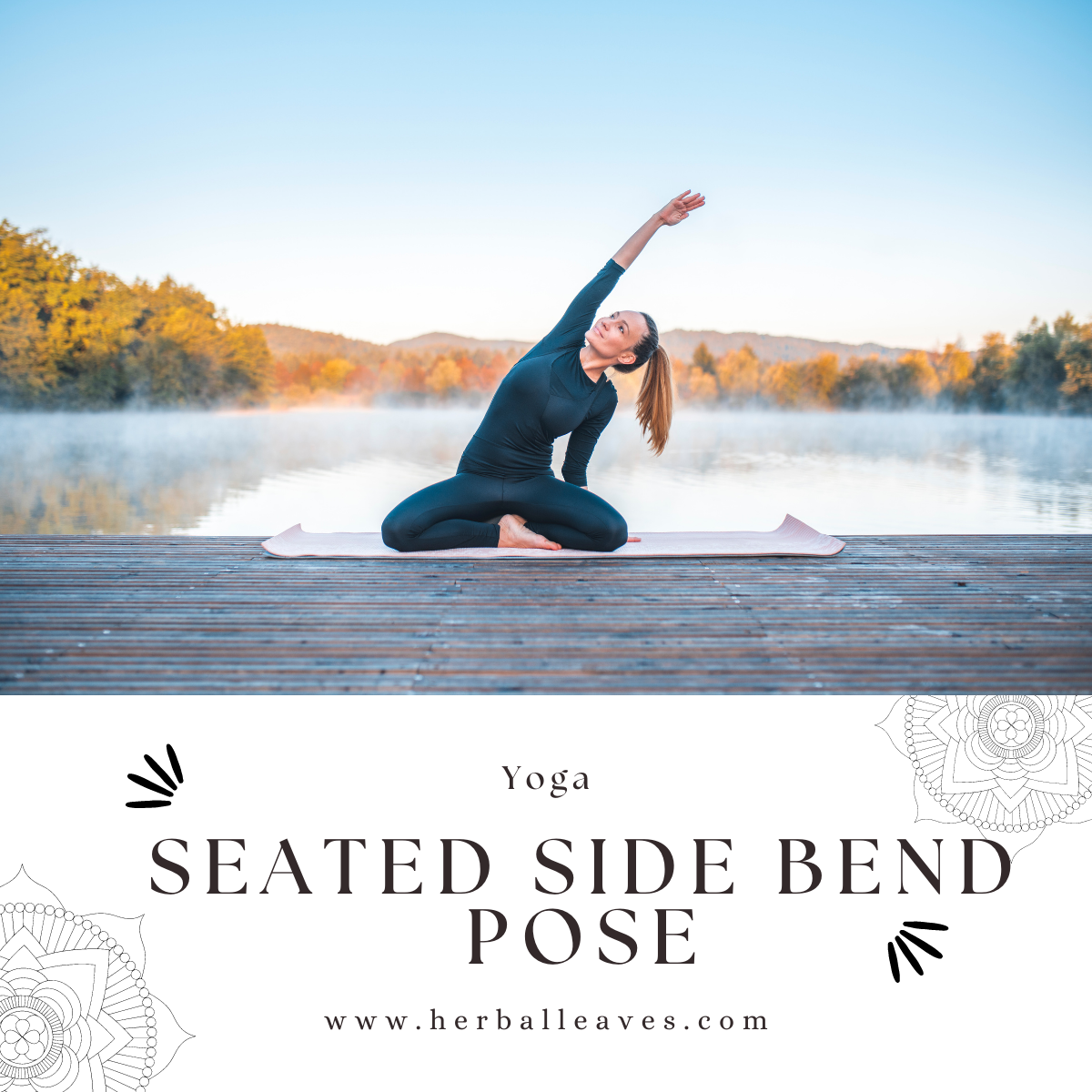 YOGA Seated Side Bend pose (2)