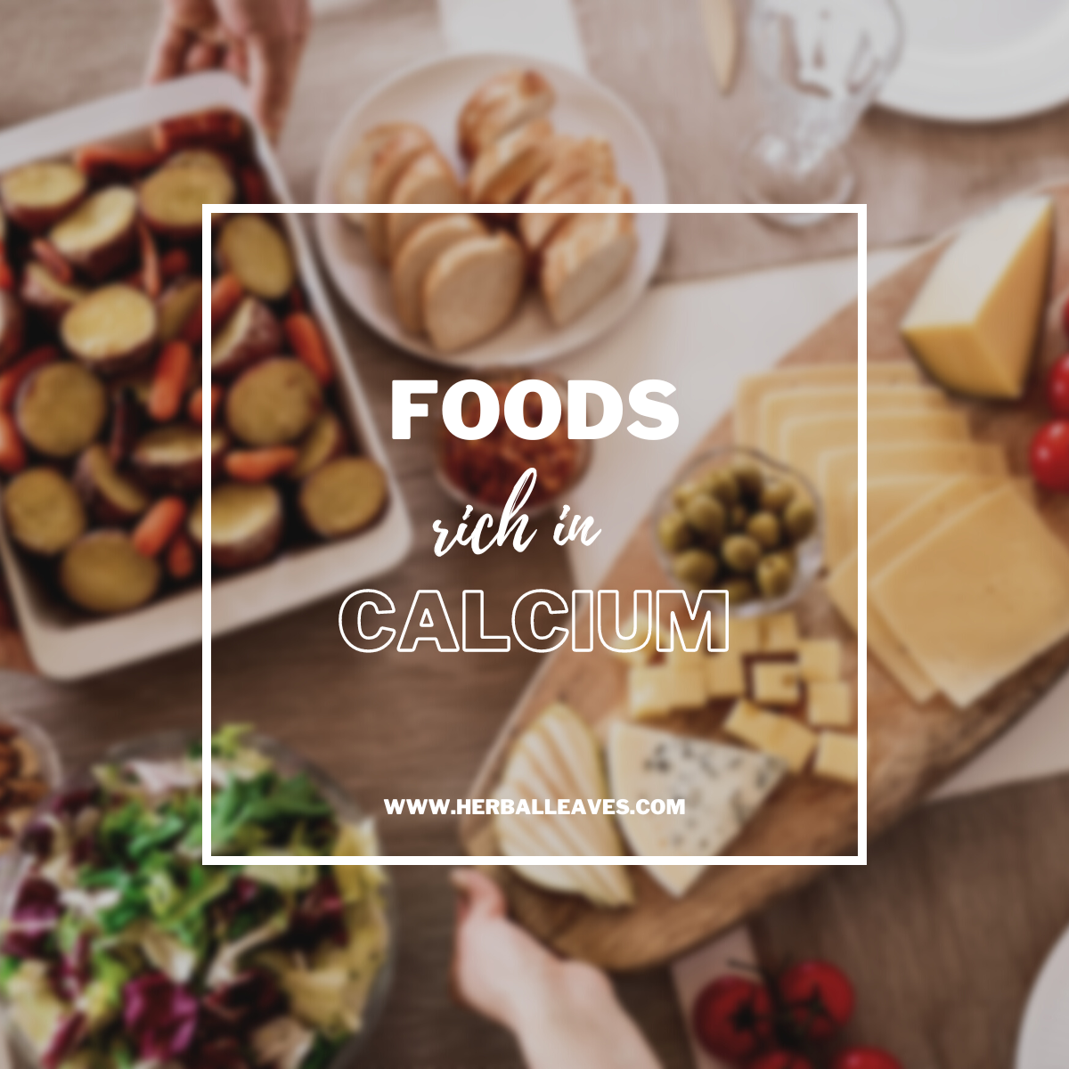 vegan foods rich in calcium
